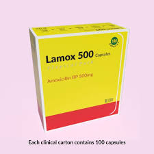 AMOXICILLIN 500MG (LAMOX)