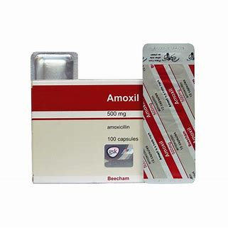 Amoxil 500mg Cap