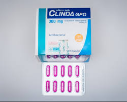 Clinda GPO 300