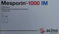 Mesporin1000mg
