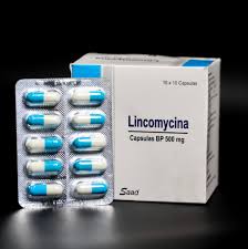 LINCOMYCIN CAP(DERMS)