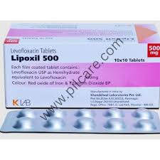 LIPOXIL 500MG
